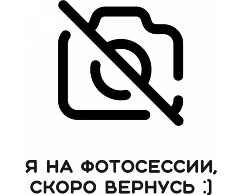 Термоголовка Argox iX4-350
